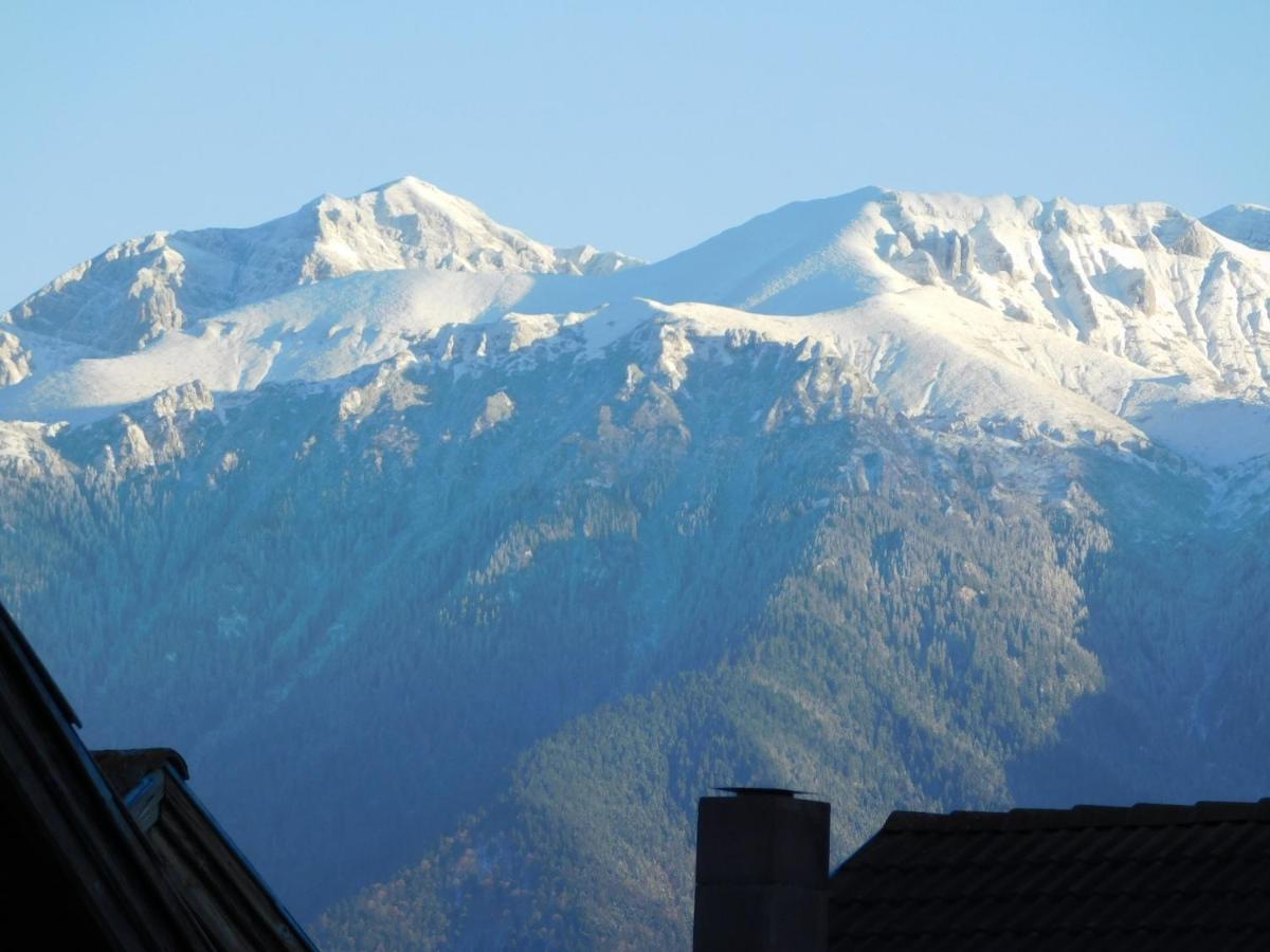 Mountain Vista Suites Zărneşti Extérieur photo