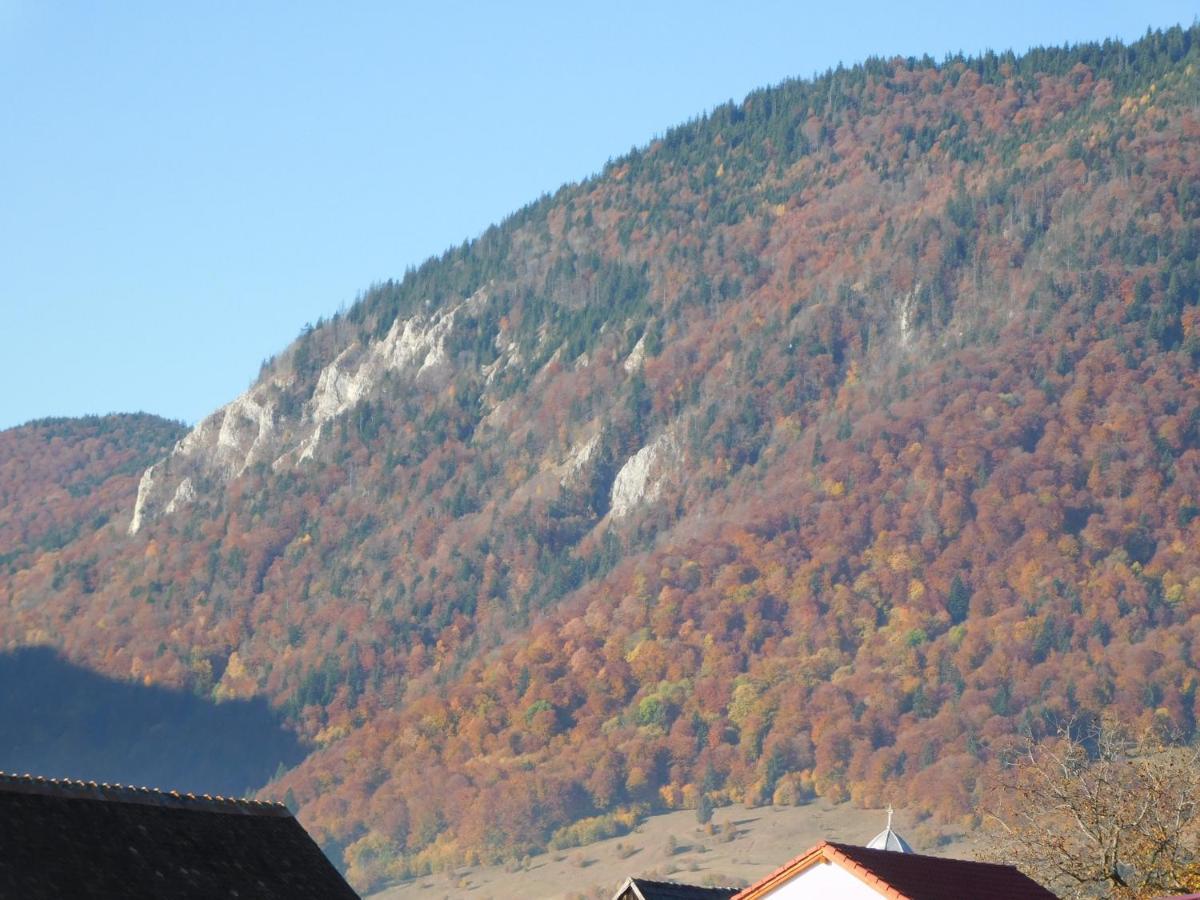 Mountain Vista Suites Zărneşti Extérieur photo