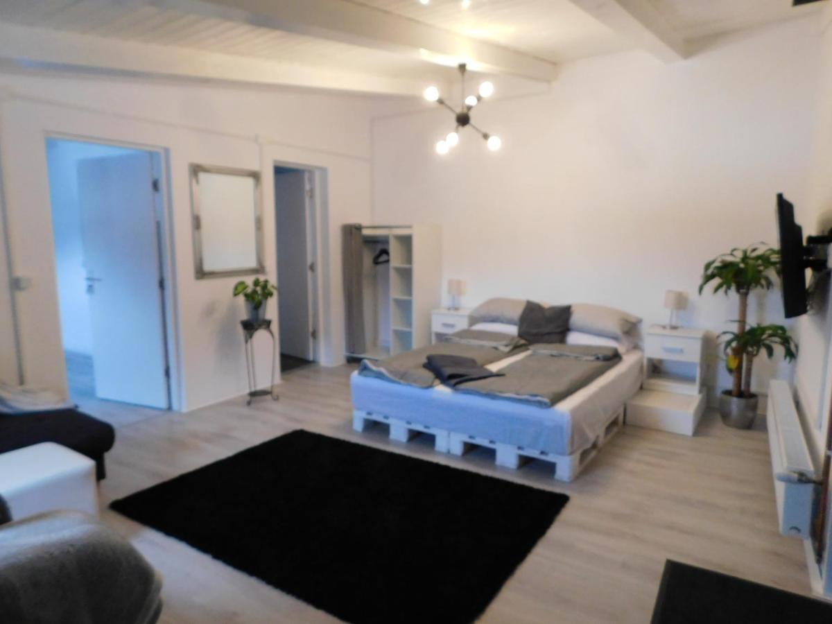 Mountain Vista Suites Zărneşti Extérieur photo