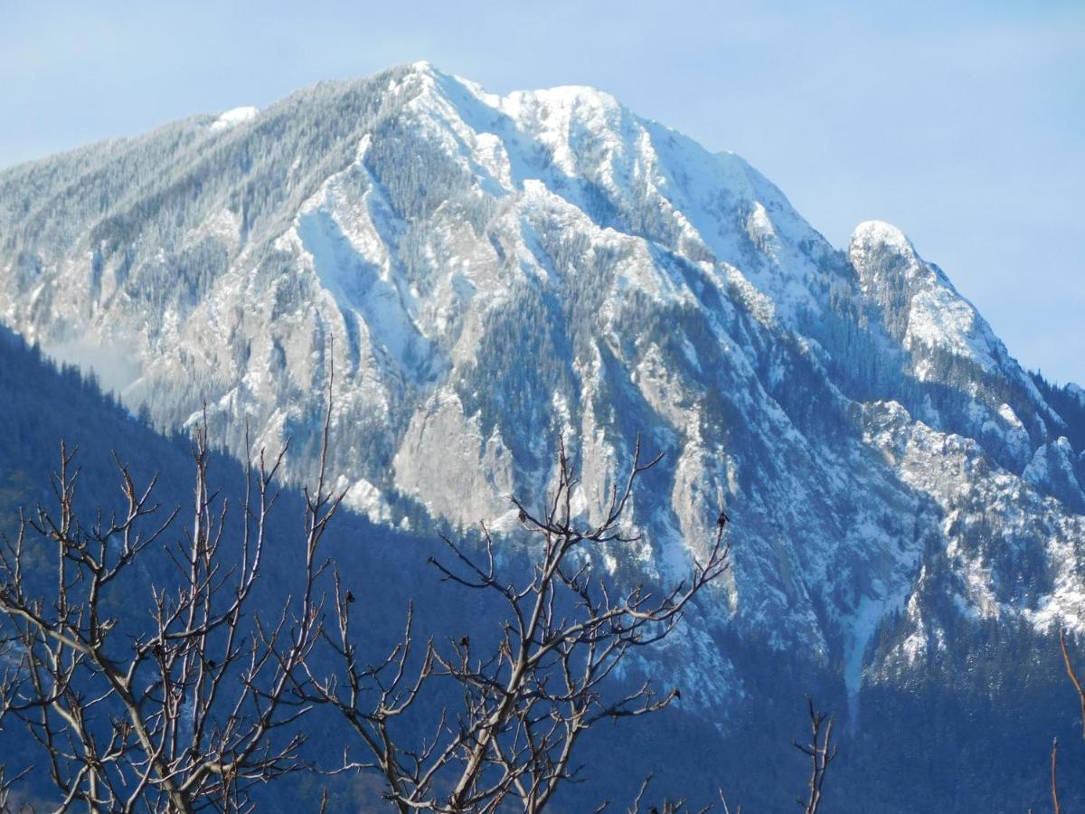Mountain Vista Suites Zărneşti Extérieur photo