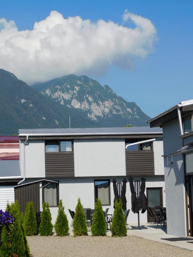 Mountain Vista Suites Zărneşti Extérieur photo
