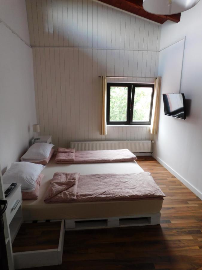 Mountain Vista Suites Zărneşti Extérieur photo