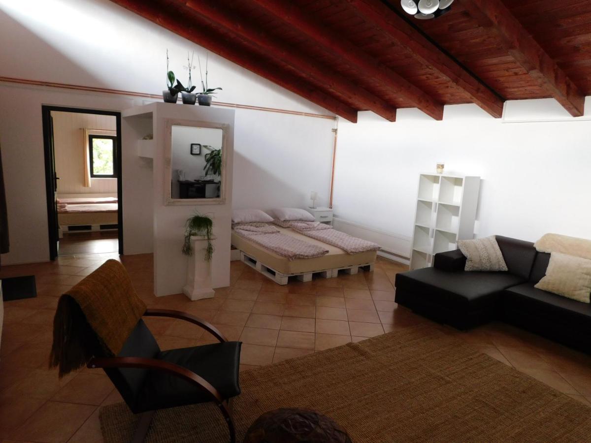 Mountain Vista Suites Zărneşti Extérieur photo