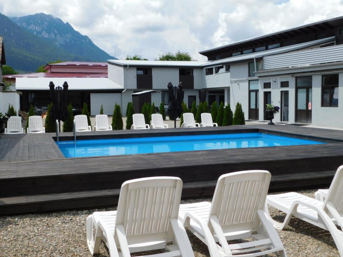 Mountain Vista Suites Zărneşti Extérieur photo